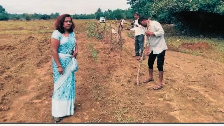 Government Land Encroachment Cleared in Sagara