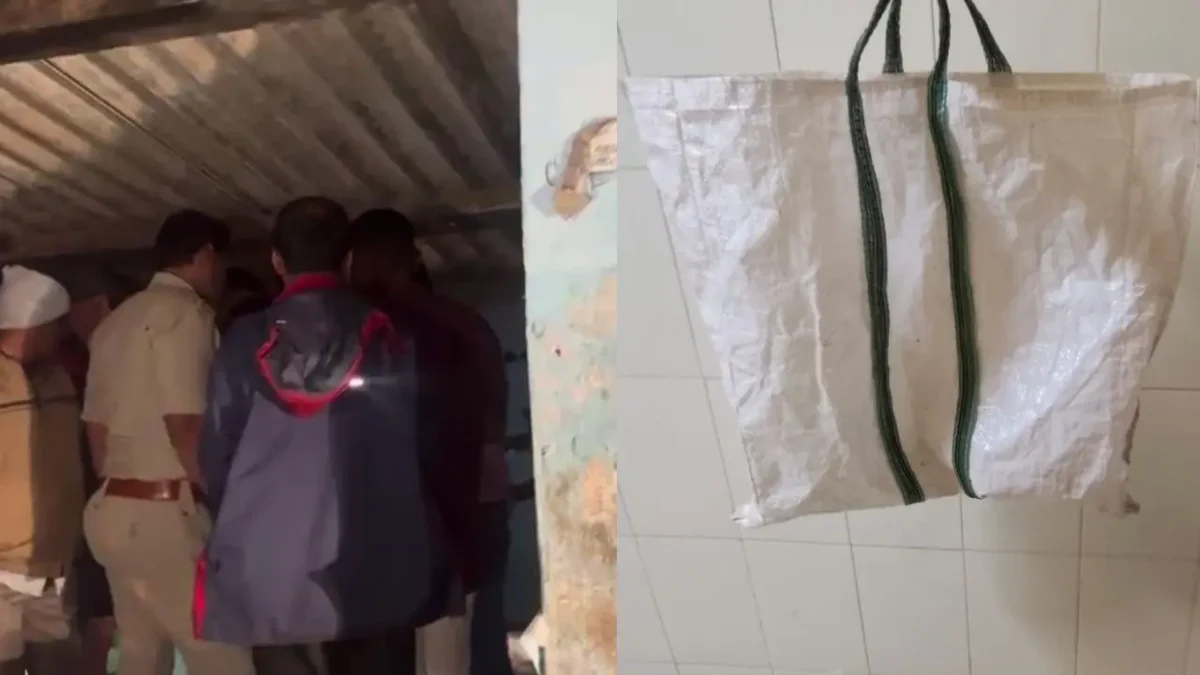 Newborn Baby Girl Abandoned Inside Bag