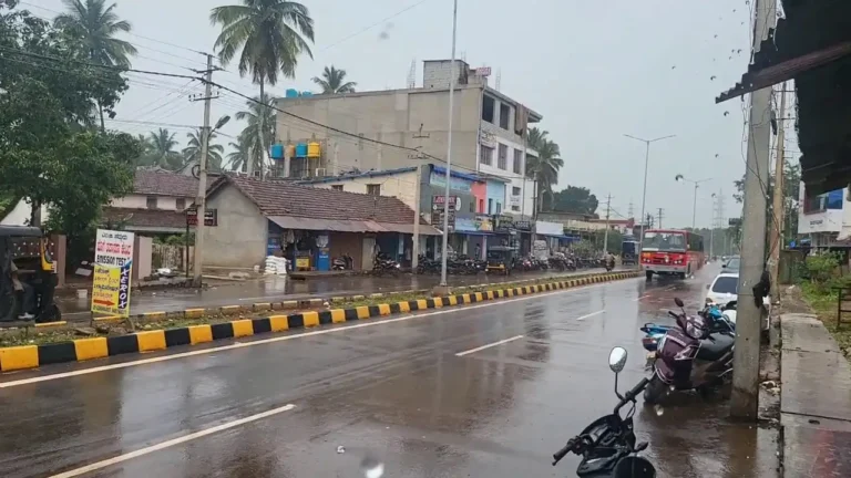 ವಿರಾಮದ ಬಳಿಕ ಸುರಿದ ಮಳೆ: ಕೃಷಿ ಚಟುವಟಿಕೆಗೆ ಚೈತನ್ಯ