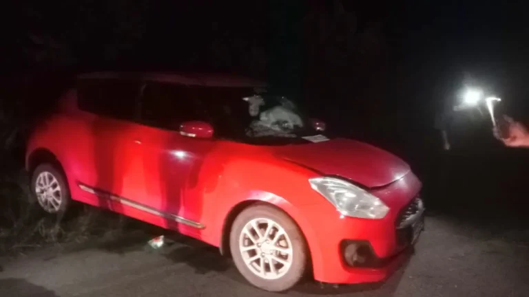 Shivamogga Road Accident 65-Year-Old Killed