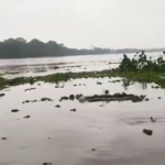 Tunga River Water Level Rises in Shivamogga CWC Issues Flood Forecast