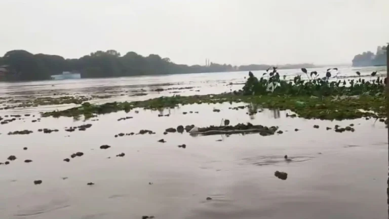 Tunga River Water Level Rises in Shivamogga CWC Issues Flood Forecast