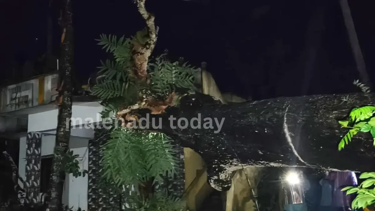 thirthahalli Rains Tree Collapses on House in Kerodi