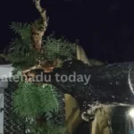 thirthahalli Rains Tree Collapses on House in Kerodi