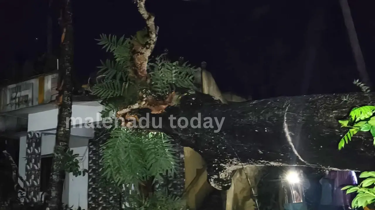 ತೀರ್ಥಹಳ್ಳಿ: ಗಾಳಿ ಸಹಿತ ಮಳೆಗೆ ಮನೆಯ ಮೇಲೆ ಬಿದ್ದ ಬೃಹತ್ ಮರ; ತಪ್ಪಿದ ಭಾರಿ ಅನಾಹುತ