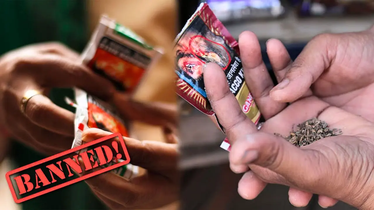 Gutka Ban Hits Shivamogga Areca Farmers