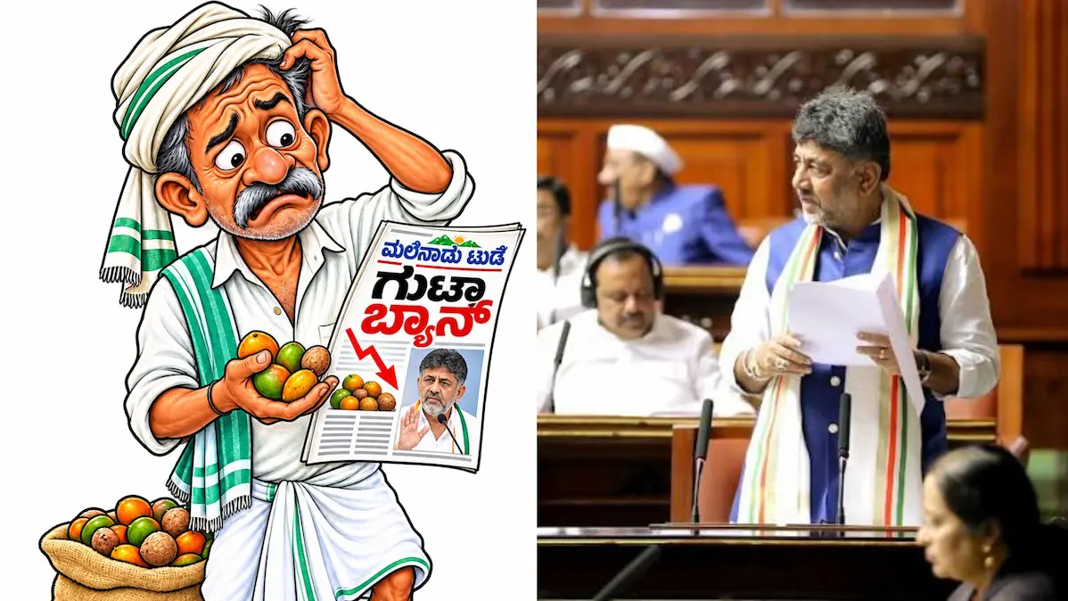 Karnataka Gutka Ban May Be Withdrawn as Arecanut Growers Raise Concerns