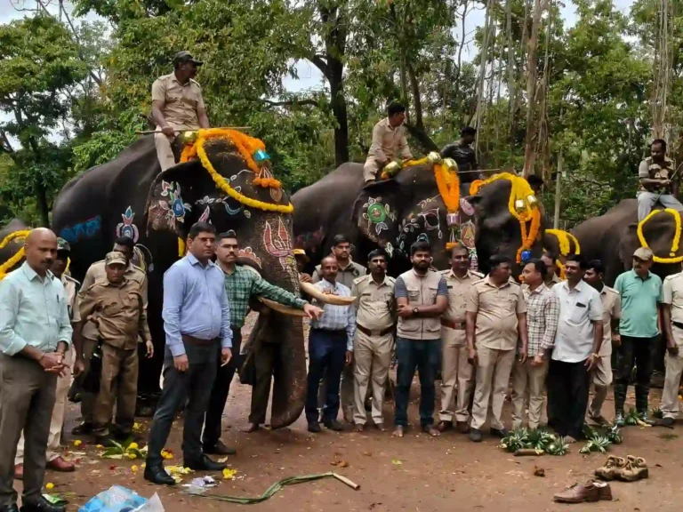 Sakrebyle Elephant Camp World Elephant Day