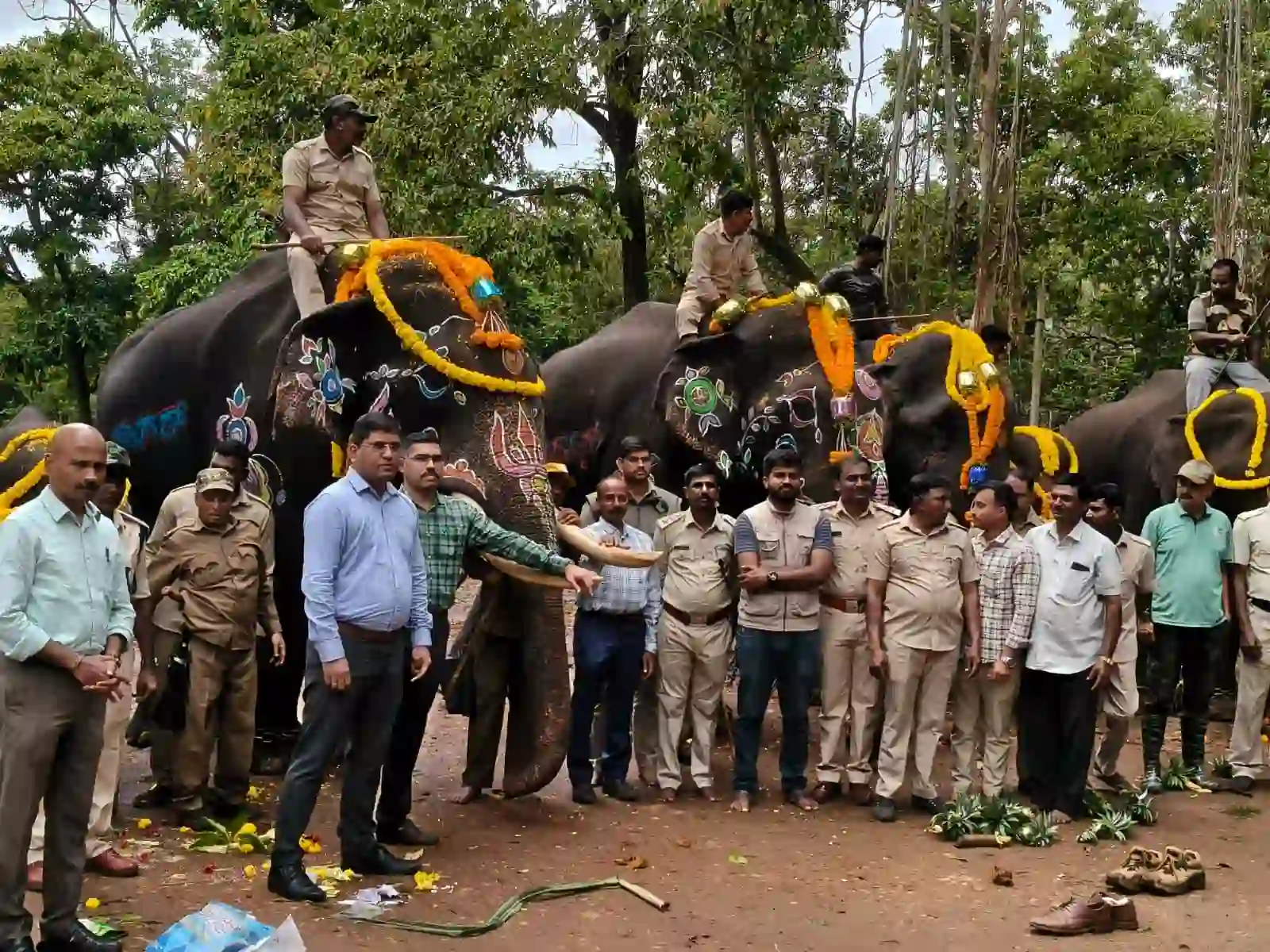 Sakrebyle Elephant Camp World Elephant Day