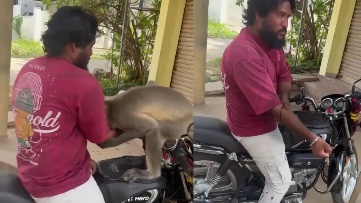 Shivamogga Animal Attack Man Injured