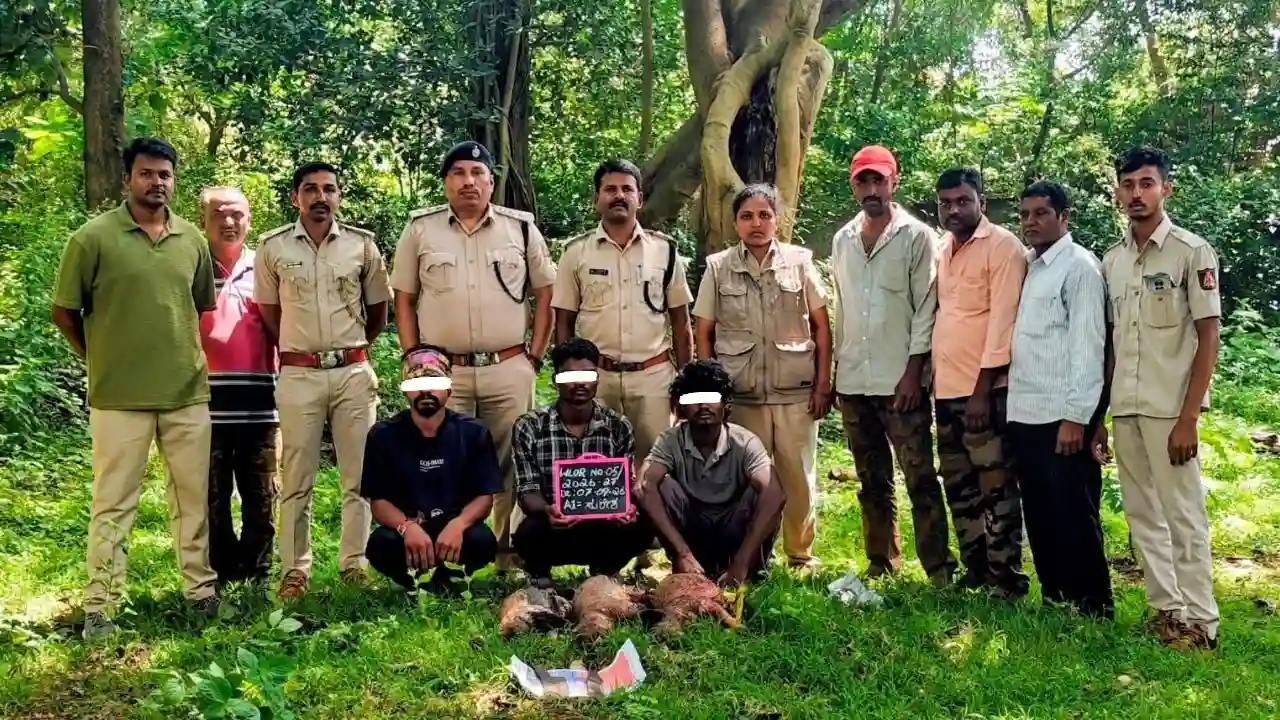 Bhadravathi Raid 3 Arrested with Dead Porcupines