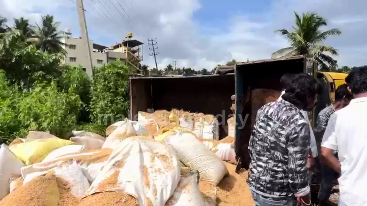 Drunk Driver Topples Paddy Canter Truck ಲಾರಿ ಪಲ್ಟಿ