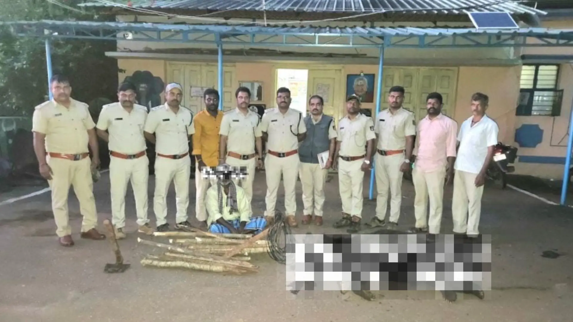Male Bear Dies in Illegal Electric Fence at Yadehalli, Bhadravati; Landowner Remanded