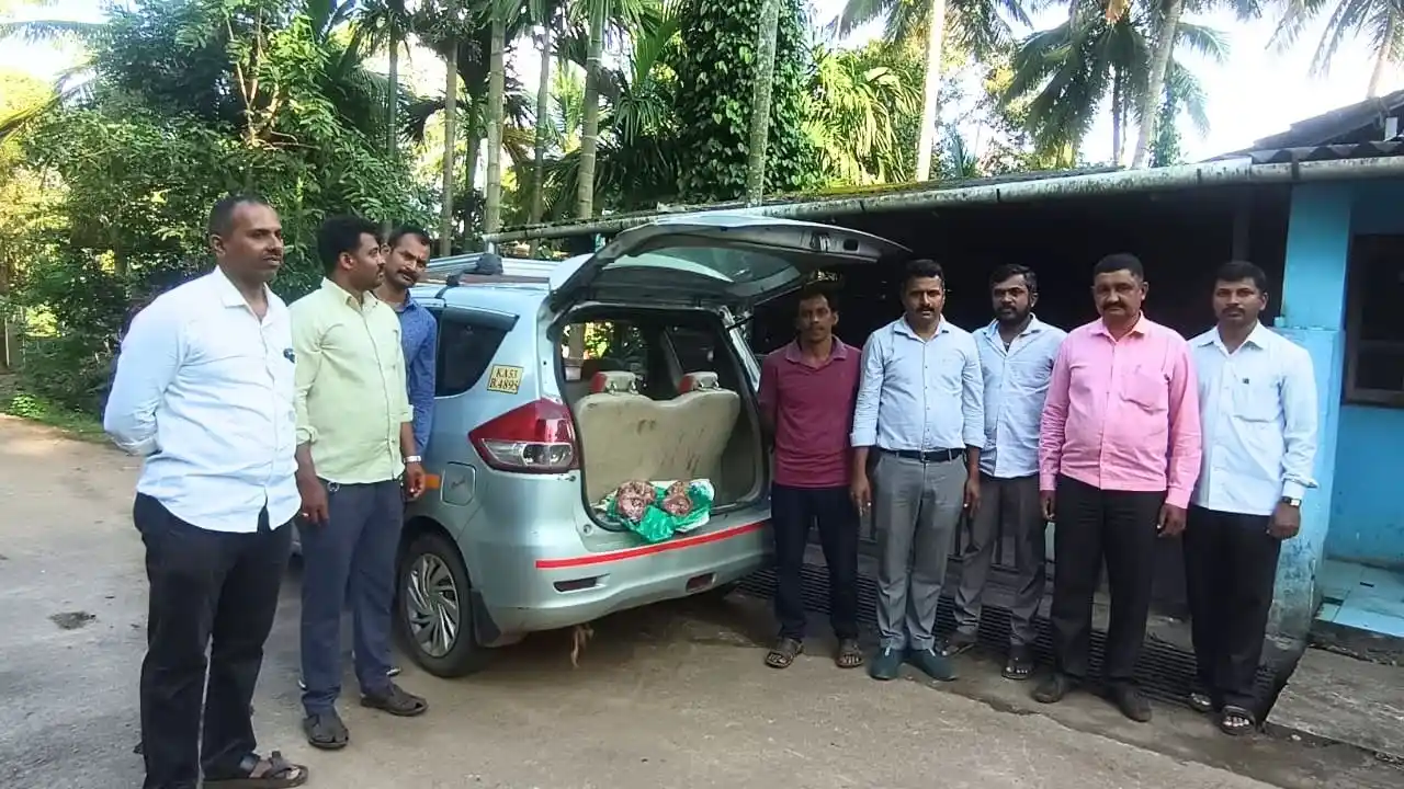 Ripponpet Raid 21 kg Deer Meat Seized