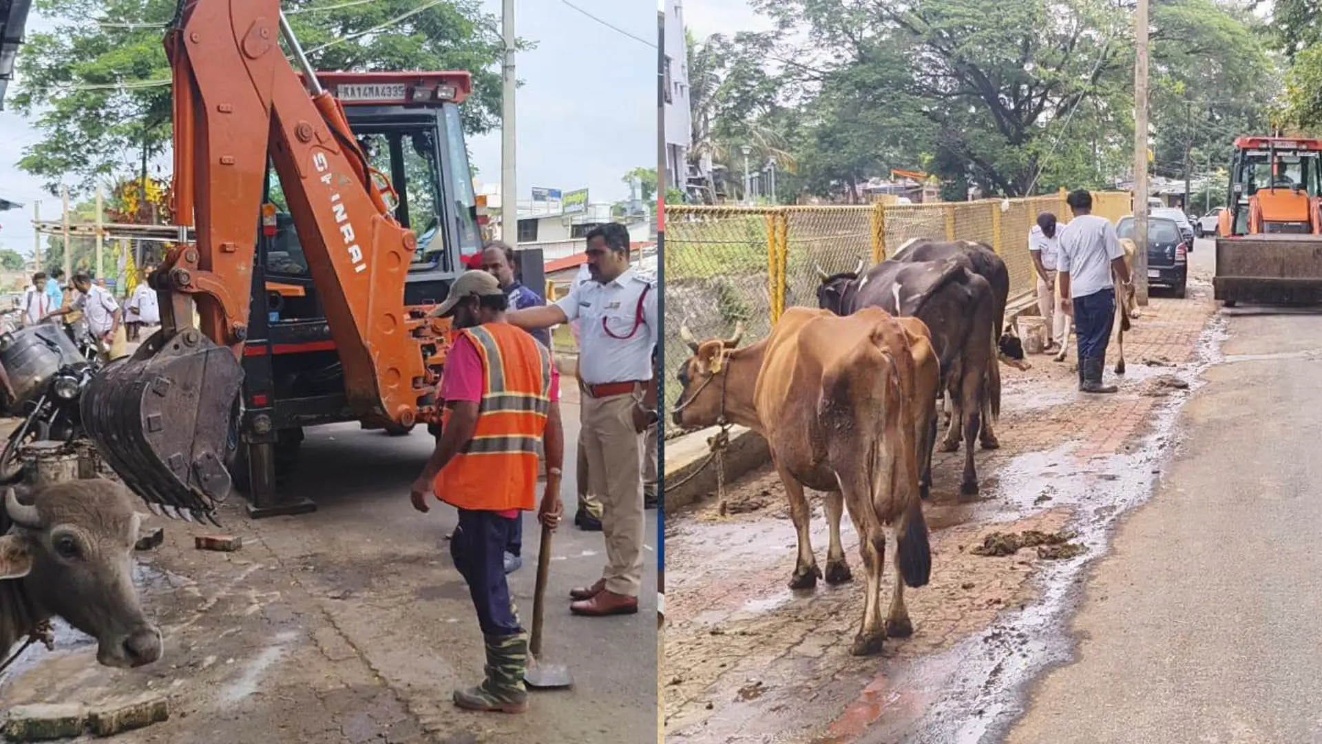 cattle and shop ramps removed from roads and footpaths in Shivamogga