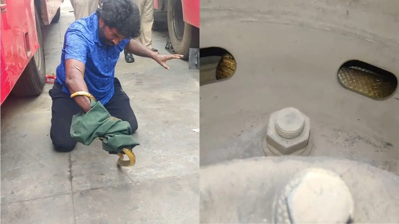 ಬಸ್__ನ ವೀಲ್_ನಲ್ಲಿ ಅಡಗಿ ಕುಳಿತಿದ್ದ ಹಾವಿರ ರಕ್ಷಣೆ