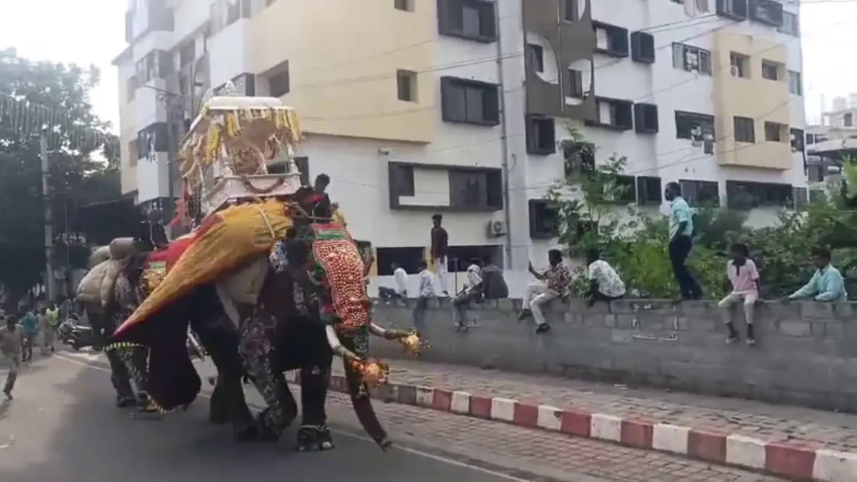 Shivamogga Dasara 2026 Why Did Elephant Somanna Panic Full Report