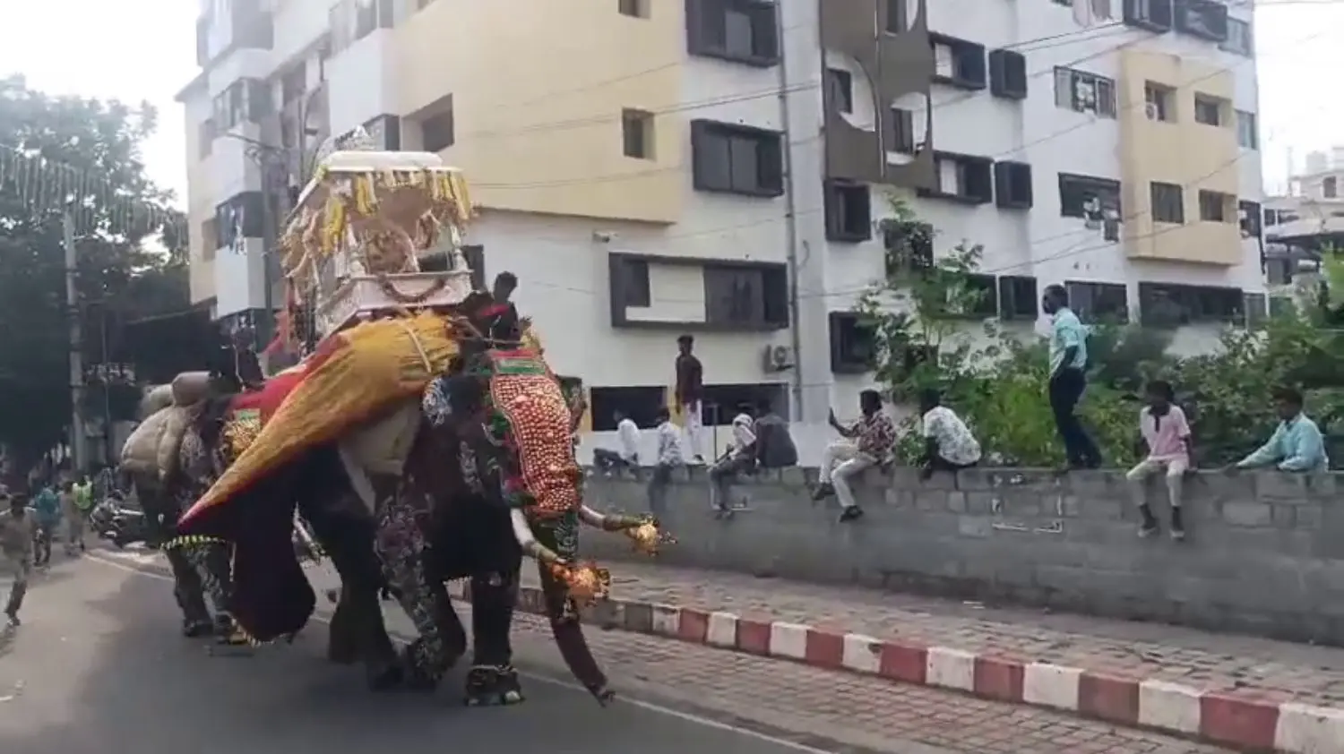 Shivamogga Dasara 2026 Why Did Elephant Somanna Panic Full Report