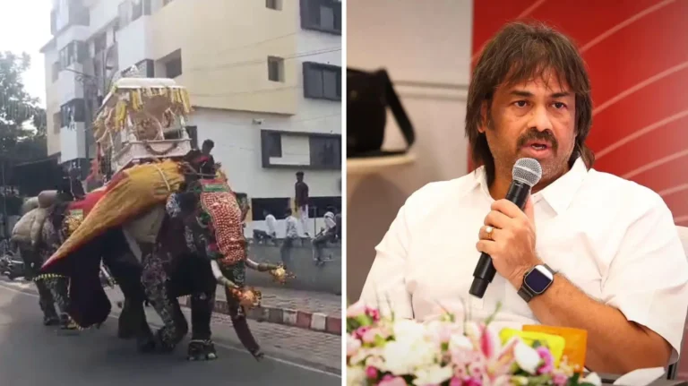 Shivamogga Dasara Elephant Incident Madhu Bangarappa Seeks Officials' Report