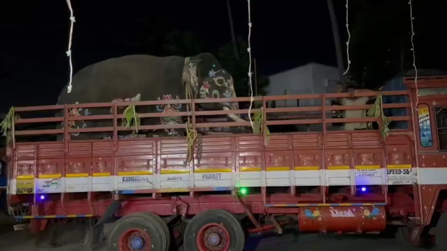 Shivamogga Dasara Elephants Somanna, Sagar and Bahaddur Return to Sakrebailu Camp