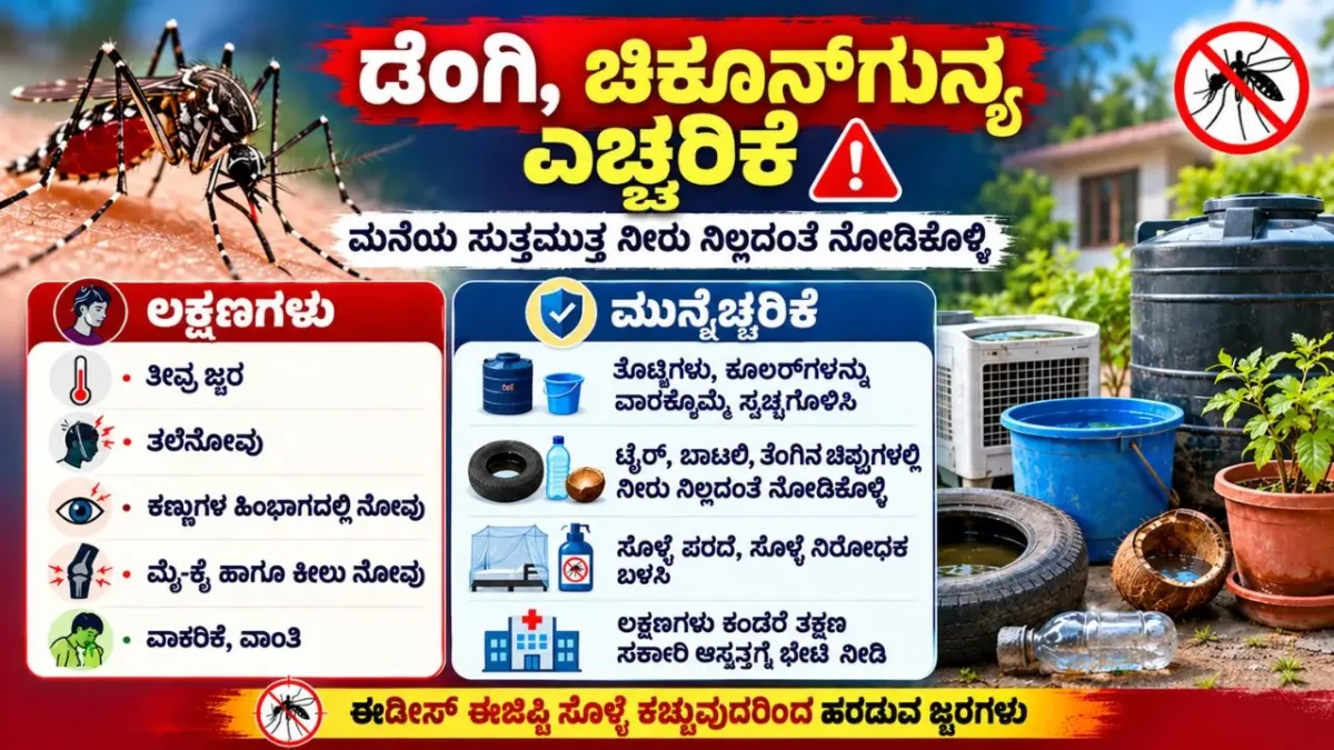 dengue-and-chikungunya-symptoms-prevention-tips--shivamogga-health-advisory