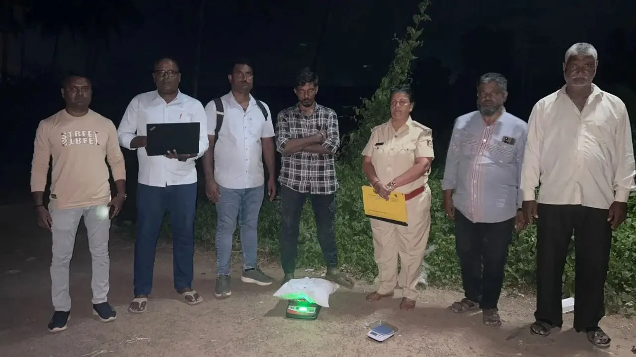 ಗಾಂಜಾ ದಾಳಿ