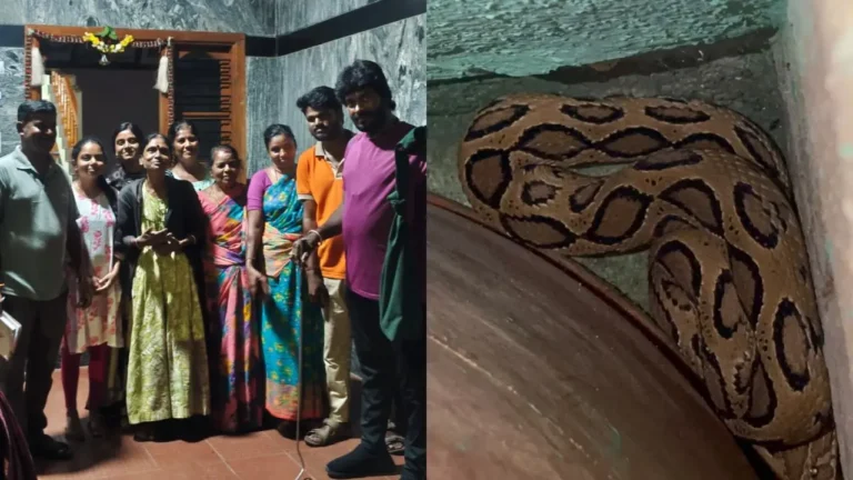 ವಿಷಪೂರಿತ ಹಾವನ್ನು ರಕ್ಷಿಸಿದ ಸ್ನೇಕ್___ ಕಿರಣ